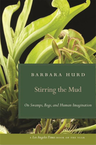 mud