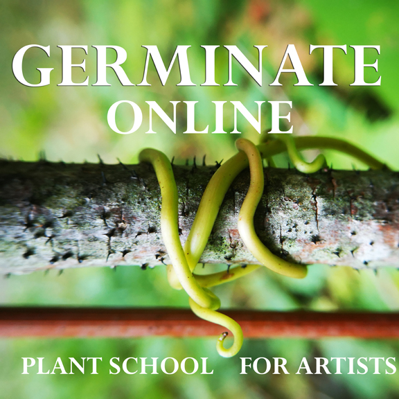 Germinate