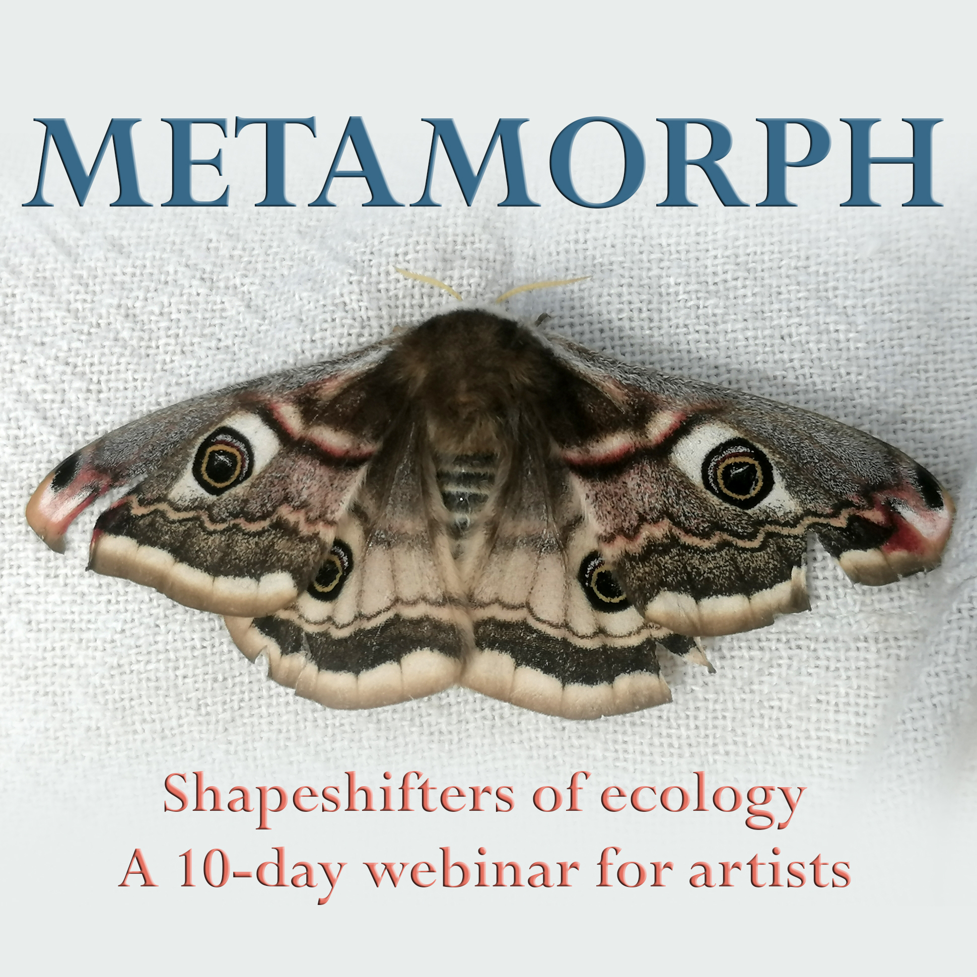 metamorph