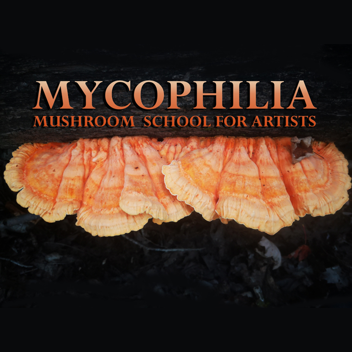 Mycophilia