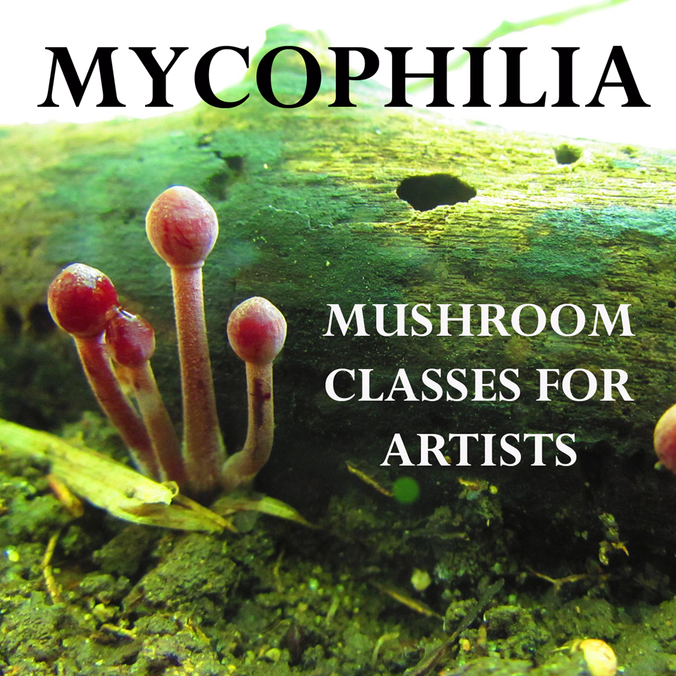 Mycophilia