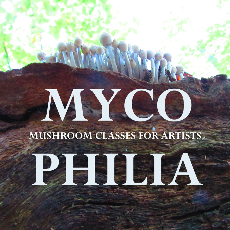 mycophilia