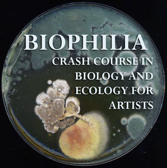 Biophilia