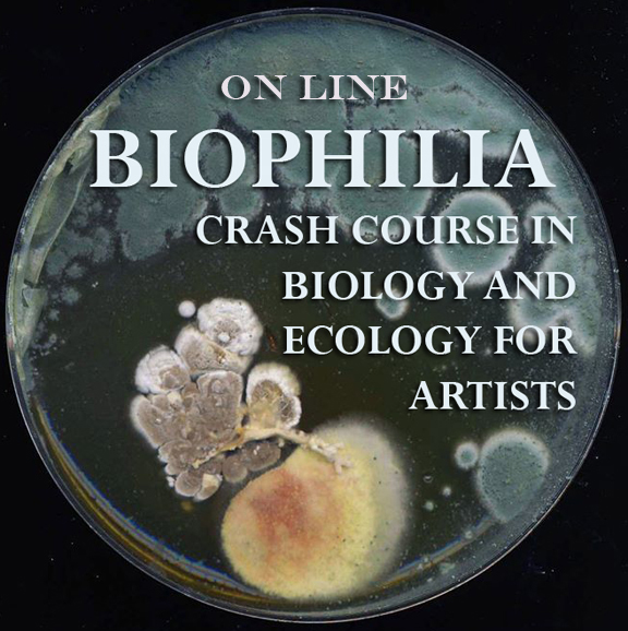 Biophilia